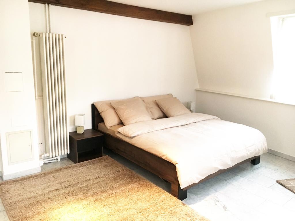 Ariba Aparthotel Basel Bagian luar foto